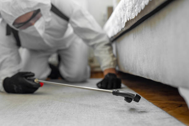 Professional Cockroach Control technician working in Rising Sun, IN