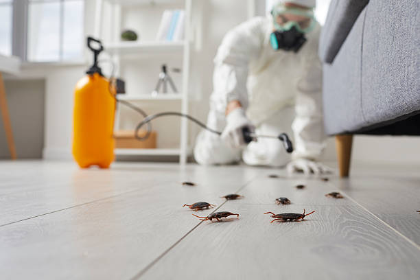 Affordable Cockroach Control solutions in Rising Sun, IN